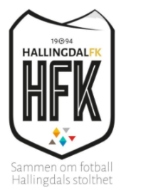 Aktivitetsdager i vinterferien på Gol